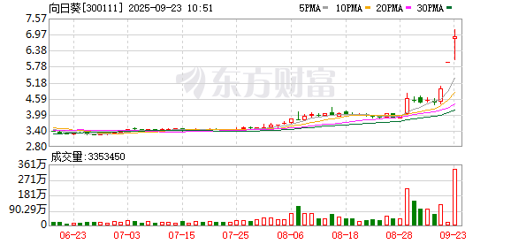 玖富配资 向日葵成交额创2020年9月10日以来新高